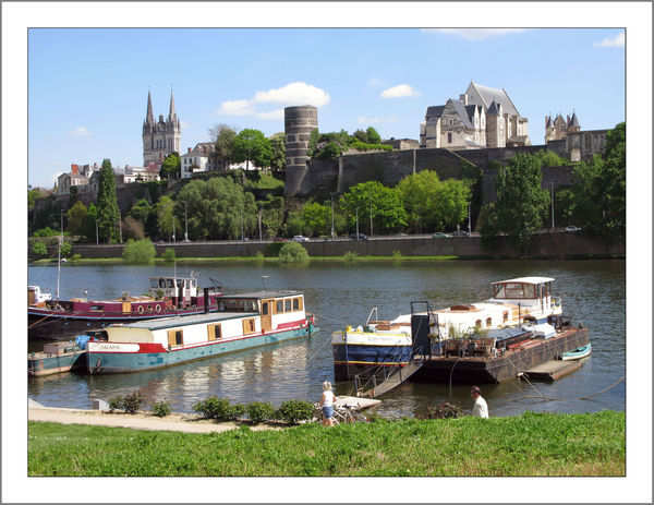 Angers_32_w