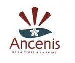 logo_ancenis2