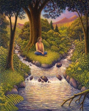 Contemplation