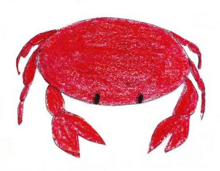 crabe