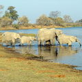 <b>Botswana</b> sublime !...