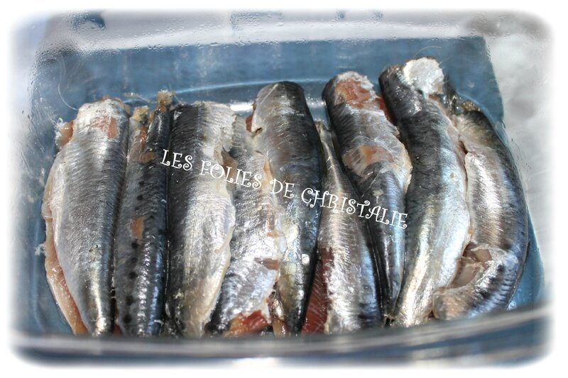 Sardines à l'escabèche 5