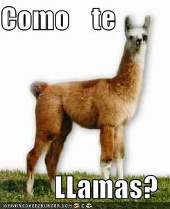c_mo_te_llamas