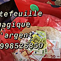 Portefeuille magique rfid en cuir hunterson portefeuille +22998526850