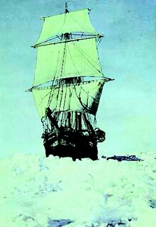 Antarctique - 3 Mats Endurance (Copier)