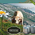 Carte postale #17 : Vache laitière en Savoie (Alpes)