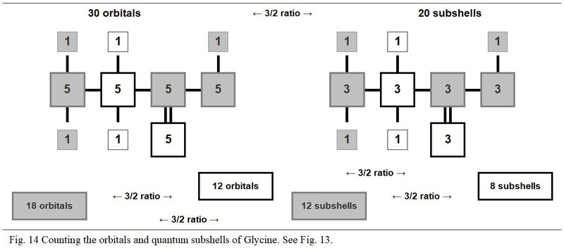 14 Orbitals and subshells of glycine