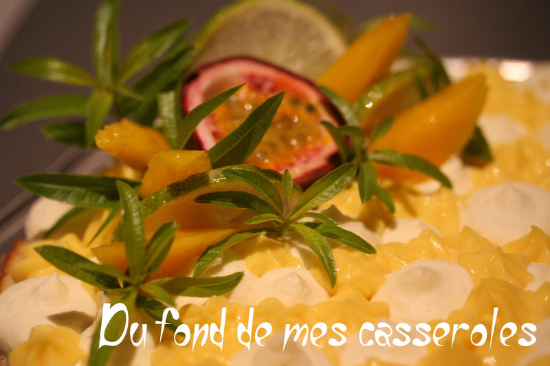 Tarte fantastik verveine-mangue-passion-citron vert1