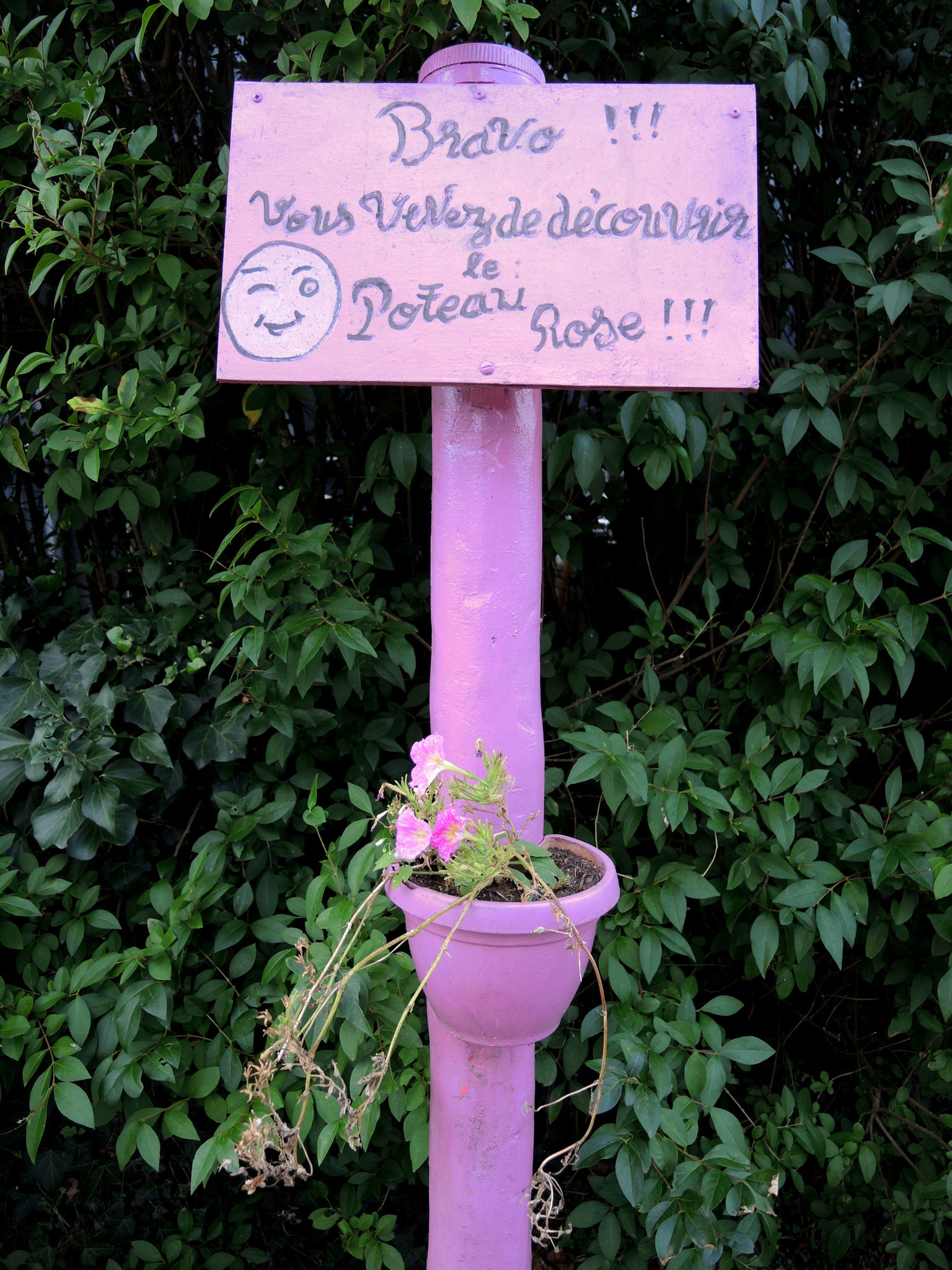 Saint-Andelain, les Berthiers, espace André Rapeau, poteau rose (58)
