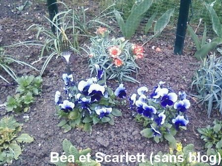 b_a_et_scarlette