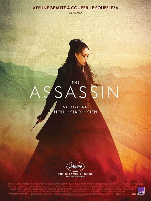 The Assassin Affiche