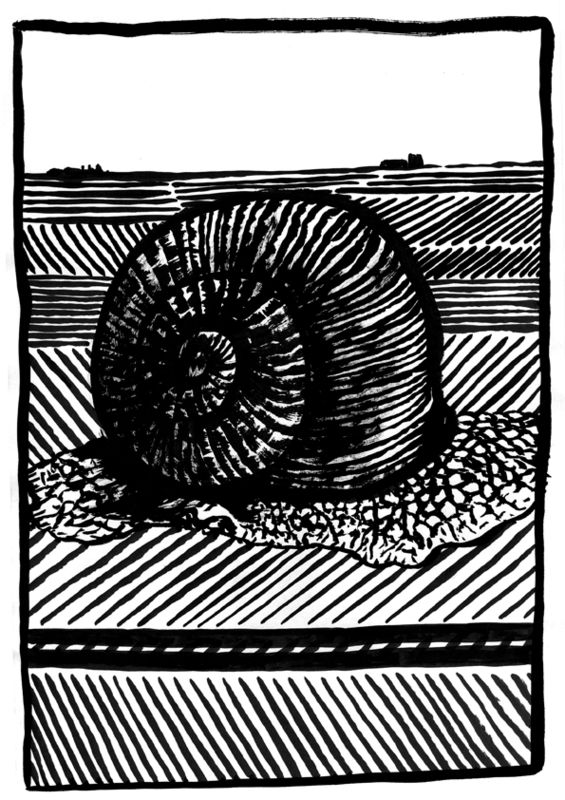 escargot 001