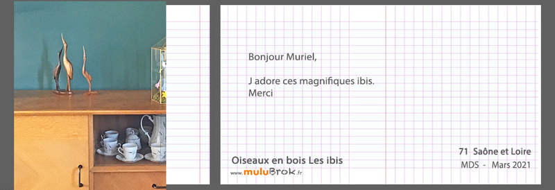 21-3-OISEAUX-bois-muluBrok