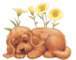 chien_fleurs