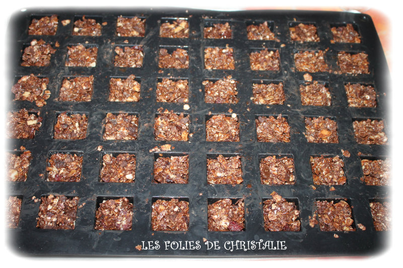 Granola 7