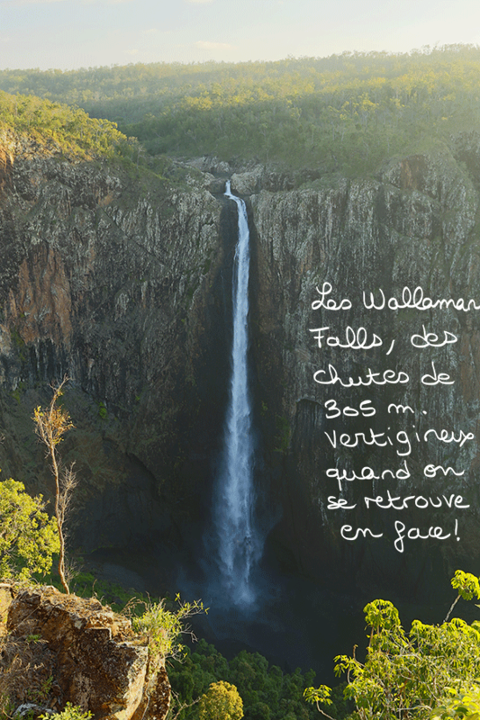 _J2B9397-wallaman-falls