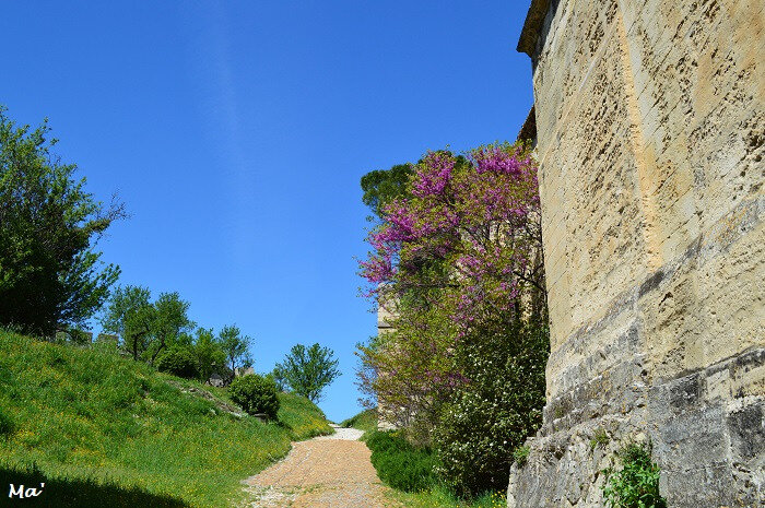 180417_fort_st_andre_3