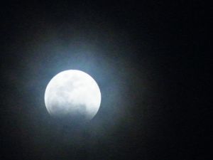 éclipse lunaire du 15 juin 2011 022