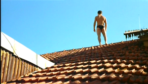 vlcsnap_2010_01_13_18h30m44s175