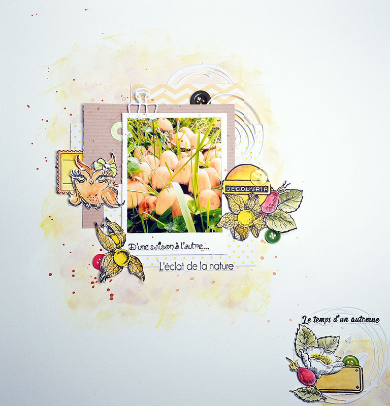 4 - Blogorel