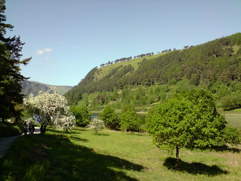 J'adore cette photo, avec l'arbre en fleur