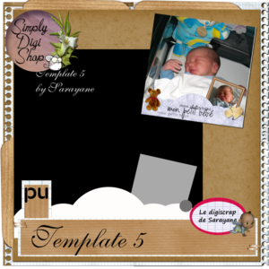 template5preview_19b709d