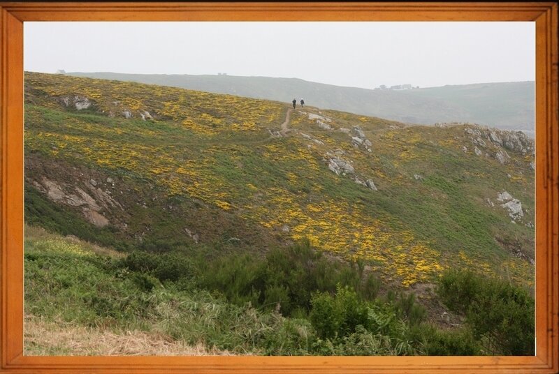 Pointe de van 8