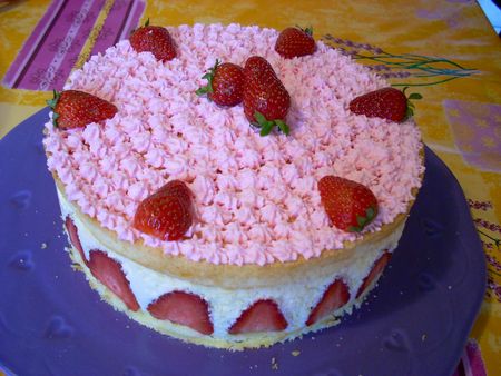 fraisier_2