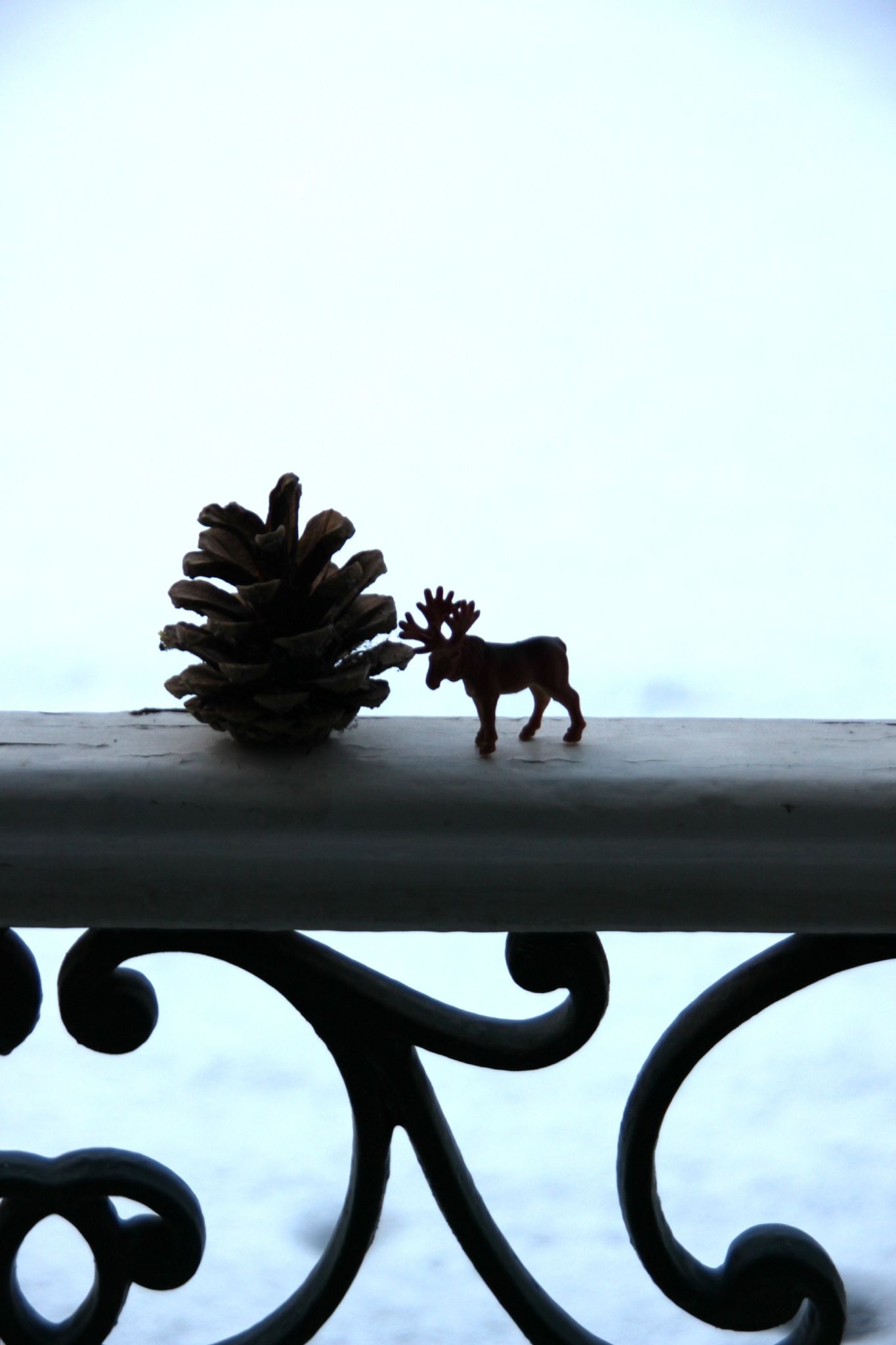 Profil sur neige