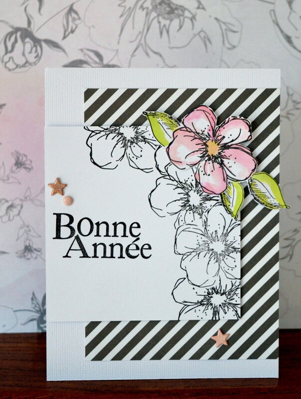 Sophinette 5