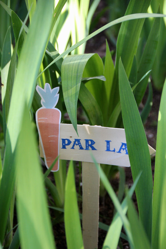 paques_chasse_aux_oeufs_par_la