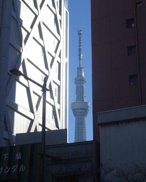 DSC06490