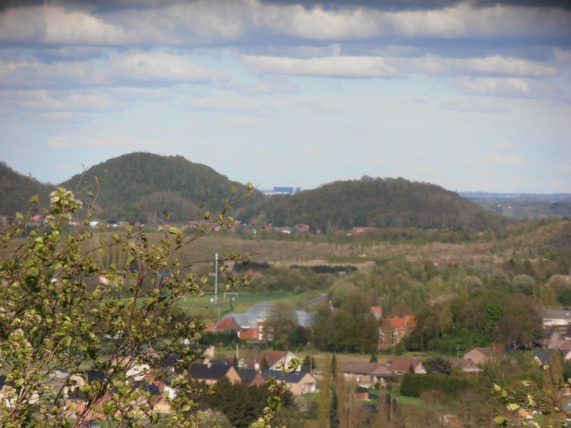79  - Terril du 6 - Hornu-Wasmes - panorama