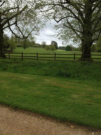 IMG_0919
