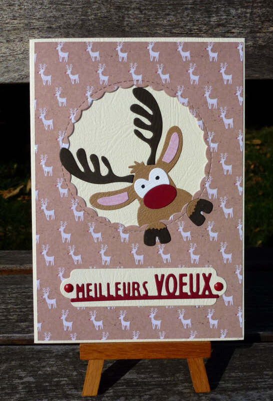 Carte-renne09