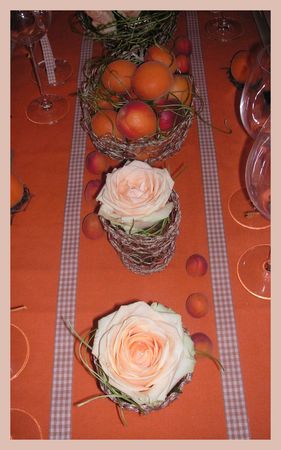 2009_07_07_table_abricots