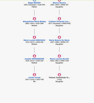 2 jpeg relation arbre descendants jean martin