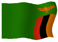 drapeaux_zambie_12