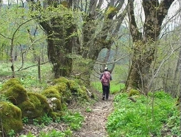 près des Chalets de l'Allier