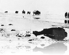 Bundesarchiv_Bild_146-1990-001-30,_Flüchtlingstreck
