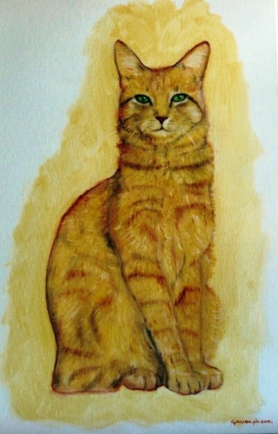 Portrait de chat roux