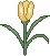 gbispring_tulip1