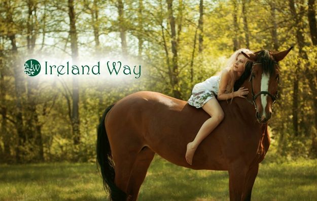 Ireland-way-ii