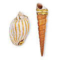 Shell boxes from <b>Anthony</b> and Marietta Coleridge Collection sold at Christie's London, 