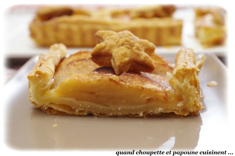 tarte pommes-cannelle pâte feuilletée maison-7053