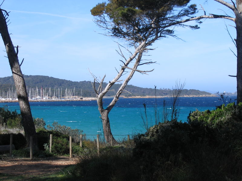 Porquerolles : Plage de la Courtade