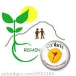 Logo REGAIN Colibris