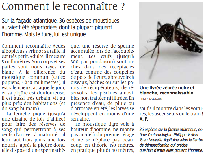 2022 06 11 SO Comment le reconnaître