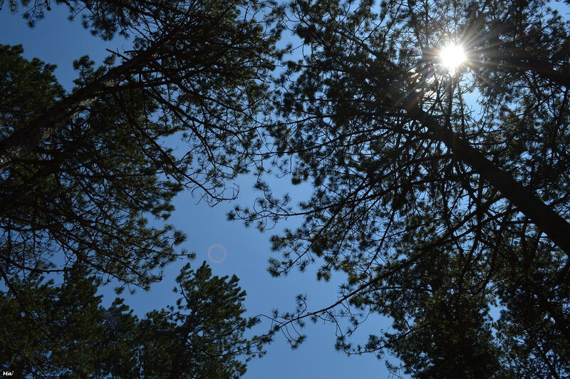 190525_Lozeron_2