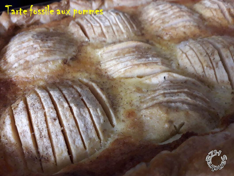 1007 tarte fossile aux pommes 3